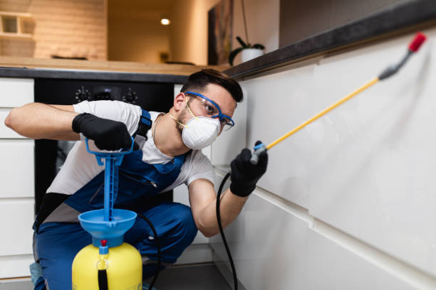 Best Exterminator Services  in Jackson, CA