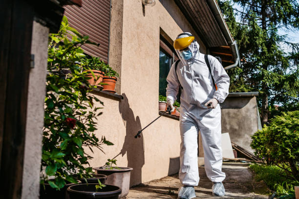 Best Ant Control Services  in Jackson, CA