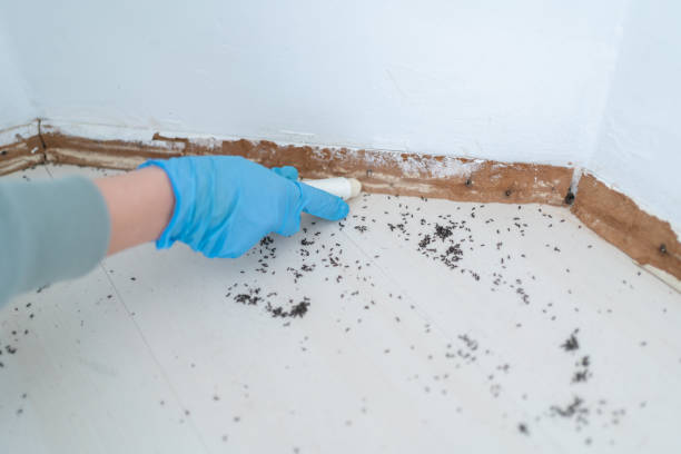 Best Pest Removal Services  in Jackson, CA